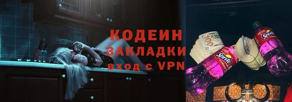 метадон Богданович