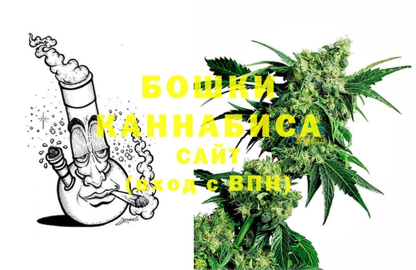 метадон Богданович