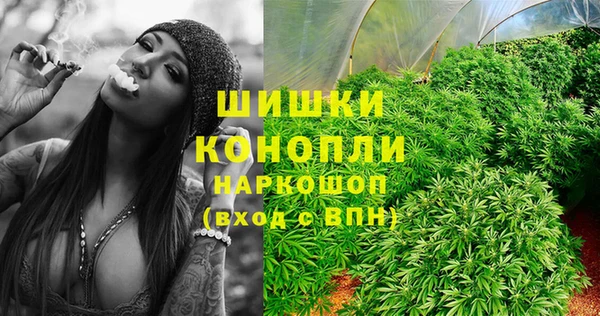 метадон Богданович