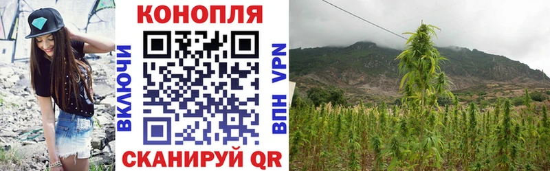 МАРИХУАНА OG Kush  Купить закладки  Пустошка 